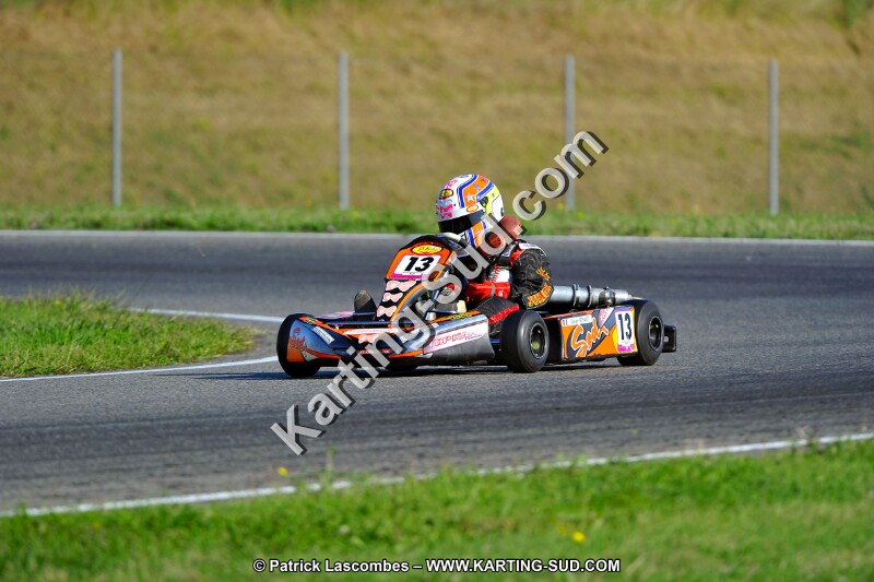 DSC_ (926).jpg
